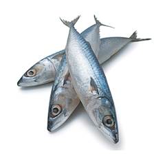 PX INT CAVALINHA NACIONAL 3/5 KG