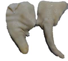 RABO SUINO SAUDALI SALGADO KG