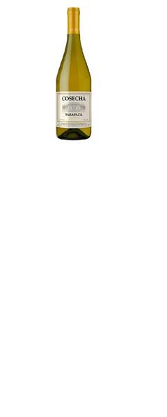 VINHO CHI TARAPACA COSECHA CHARDON 750ML