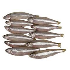 PX INT MANJUBA NUTRI PEIXE 1KG