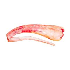 RABADA BOVINA MINERVA PUL KG