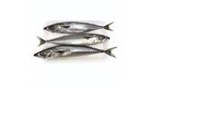 PEIXE INTEIRO CAVALINHA NACIONAL 5/7 KG