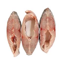 TILAPIA EM POSTA CONGELADA KG