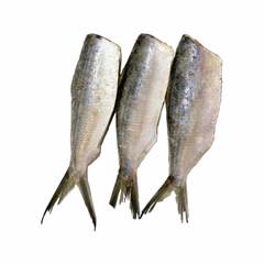 SARDINHA EVICERADA CONGELADA NACIONAL LAJE SEM CABECA KG