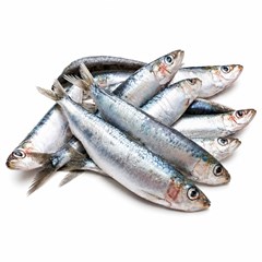 PEIXE INTEIRO PALOMBETA 3/5 SOUZA PESCADOS CONGELADO KG