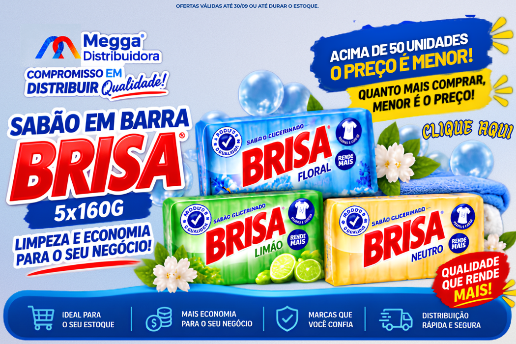 AÇÃO SABÃO BRISA