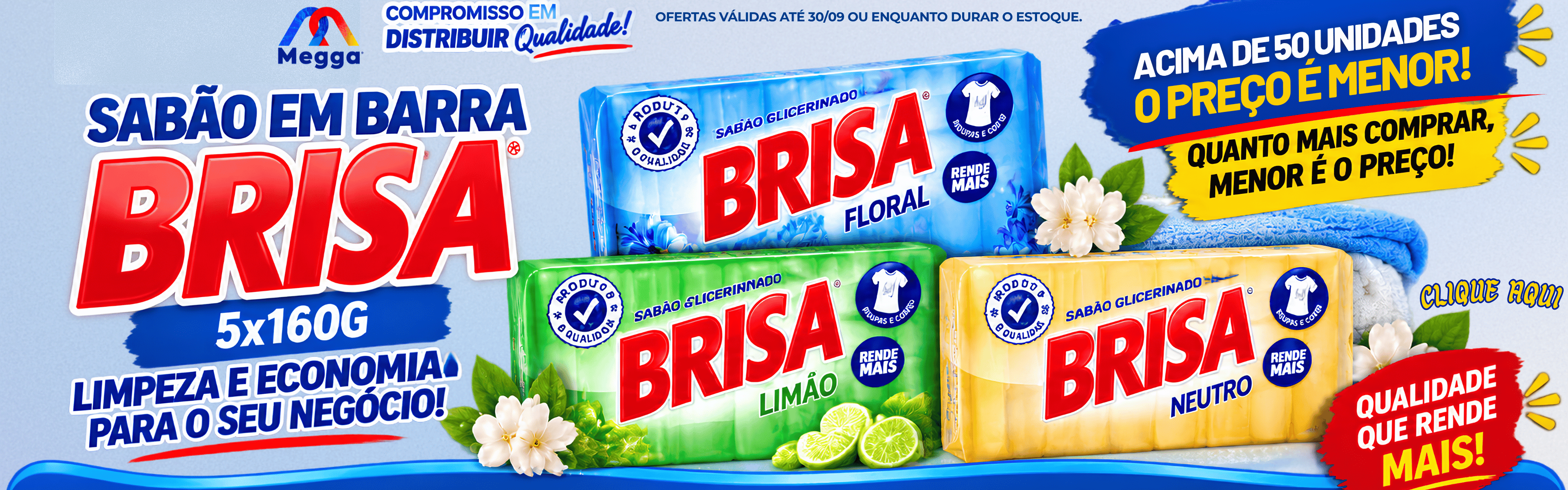 AÇÃO SABÃO BRISA