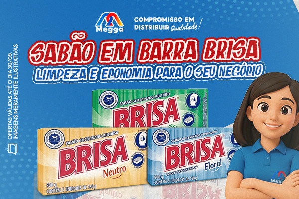 AÇÃO SABÃO BRISA